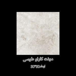 سرامیک مونت کارلو طوسی